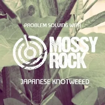 PROBLEM SOLVING WITH OUR TEAM| Japanese Knotweed